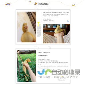 真真的宠物日记
